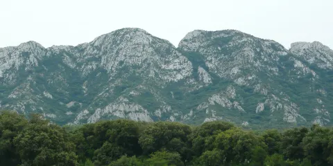 阿爾皮地區自然公園