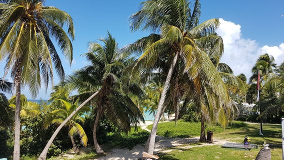 Convention Center Plaza America