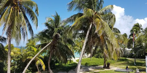 Convention Center Plaza America