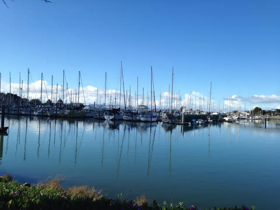 3_Berkeley Marina
