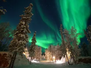 오로라 빌리지 오피스