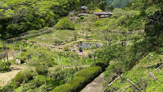 Takidani Iris Garden