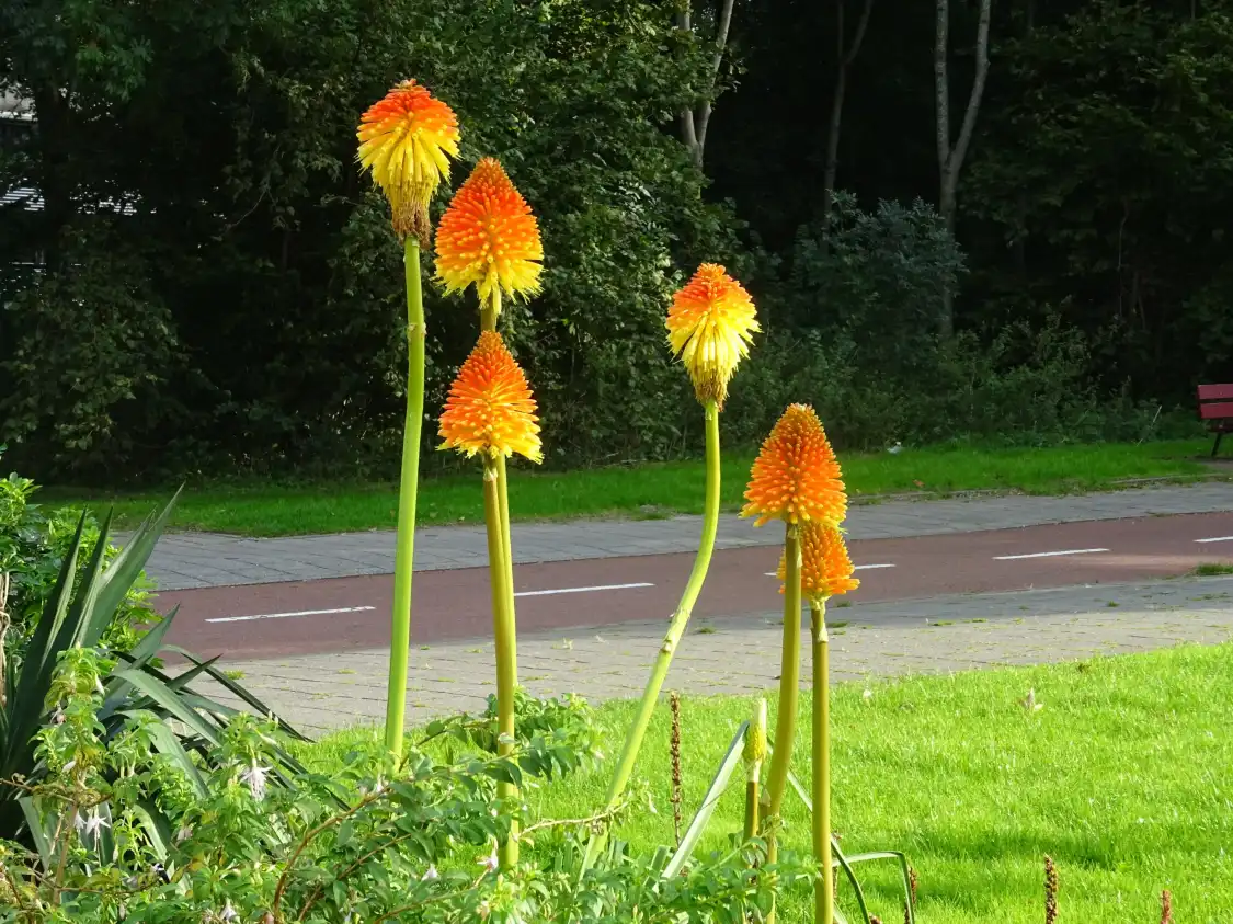 암스테르담 세계 패션 센터 주변 호텔