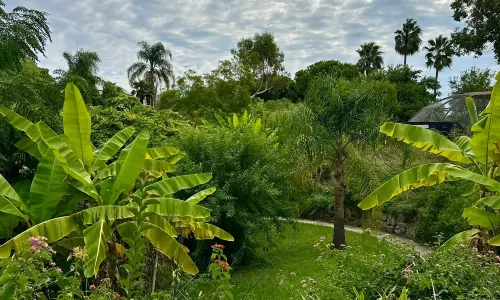 Parc Phœnix
