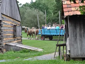 Landis Valley Museum