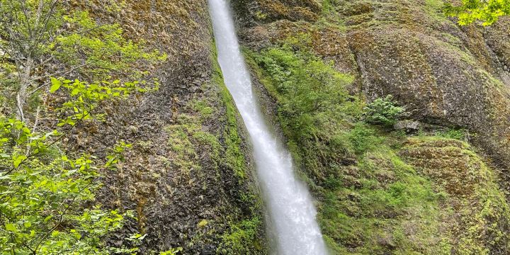 Horsetail Falls- Columbia River Gorge
