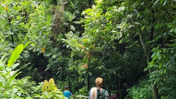 Piton Falls