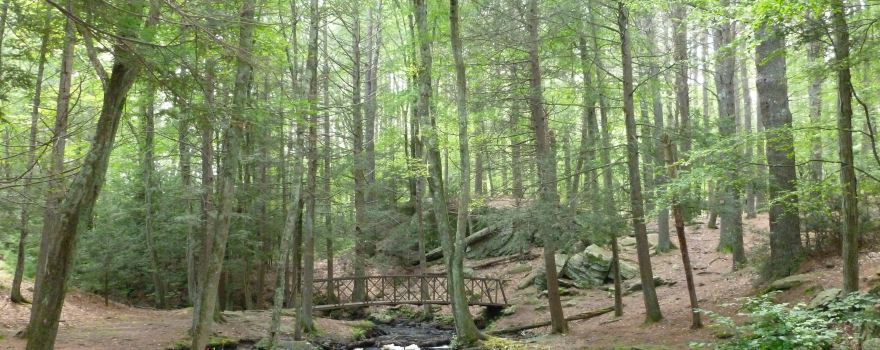 Mowry Conservation Area