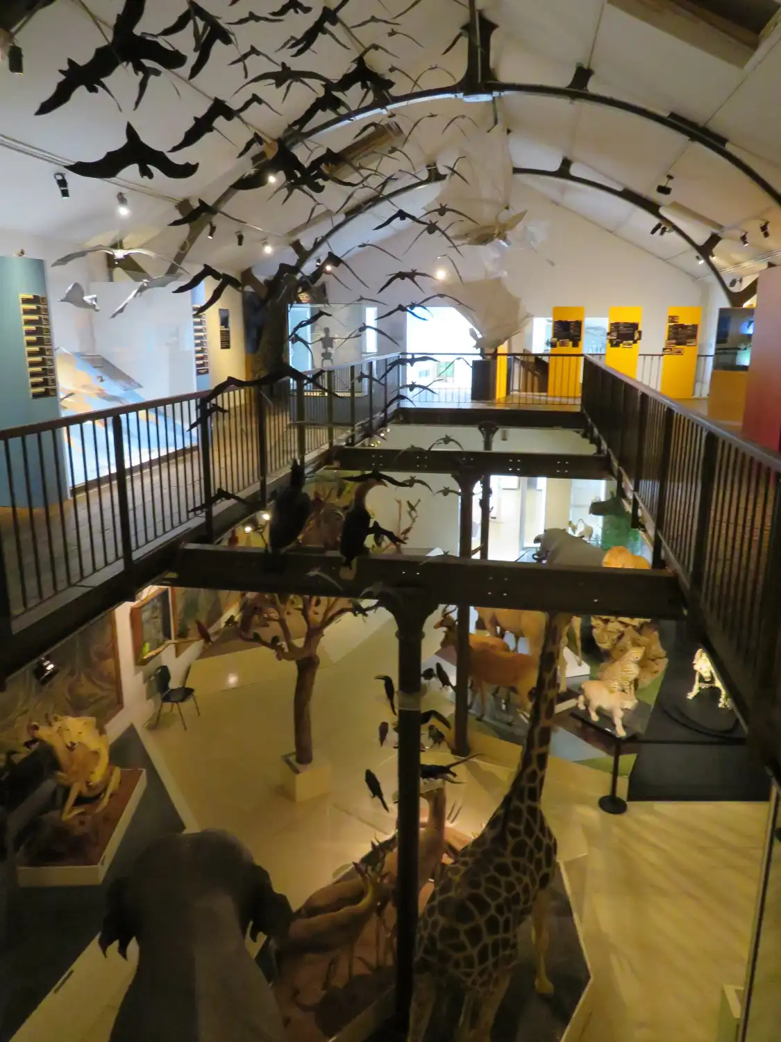 Hotels near Museum d'Histoire Naturelle de Bourges