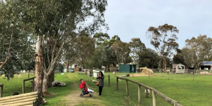 Rain, Hayne and Shine Farmyard