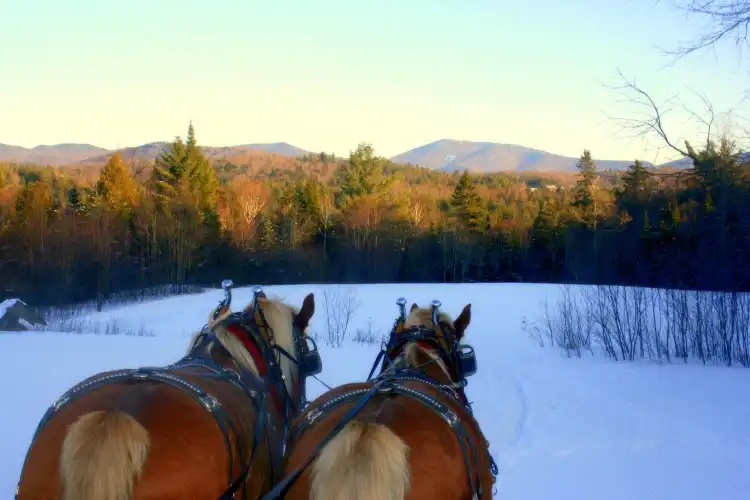 Hotels in Beekmantown