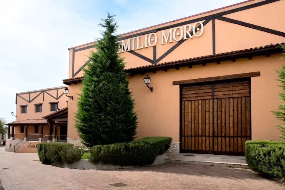 4_Emilio Moro Winery