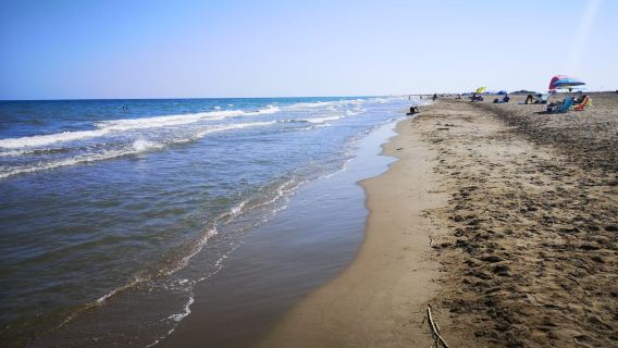 Playa del Trabucador