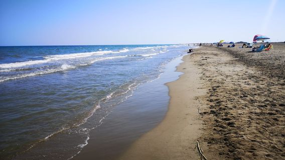 Playa del Trabucador