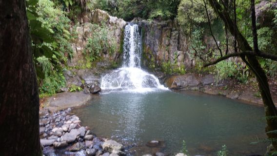 Waiau