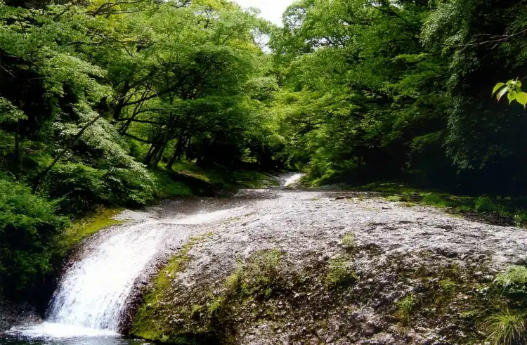 Tōon