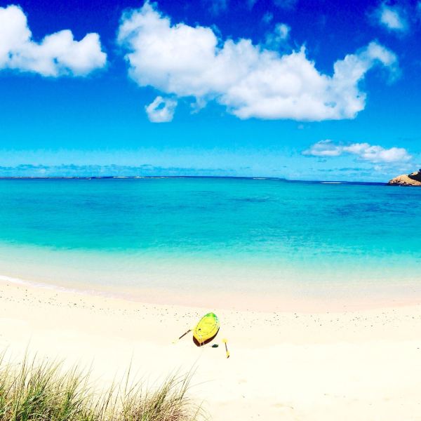 Malaga to Lord Howe Island Flights