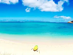 Dive Lord Howe