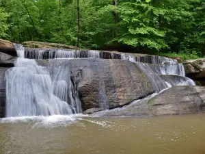 Mayo River State Park