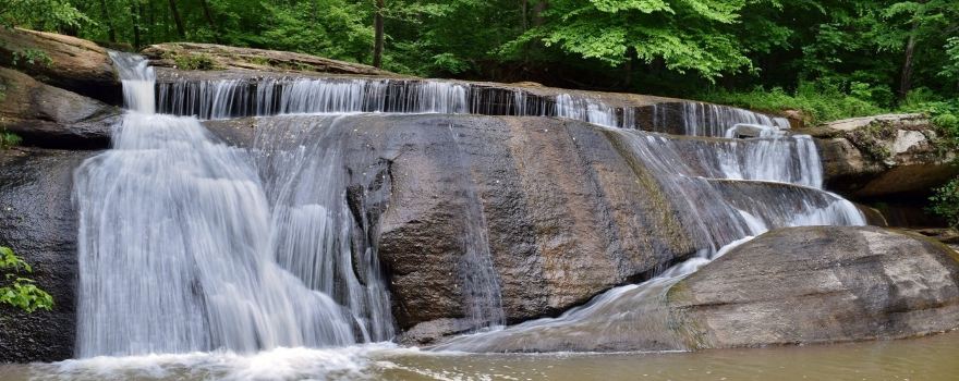 Mayo River State Park