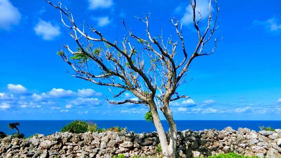 Gushikawa Castle Ruins