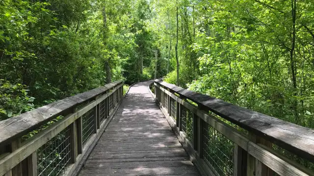 Lee State Park