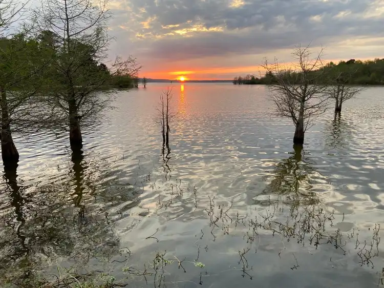 Hotels in Henry County