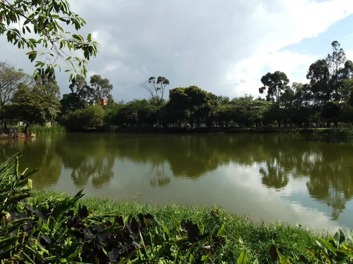 Hotel in zona Parque Leopoldina Orlando Villas Boas