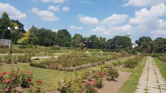 Botanical Garden - Rozarium