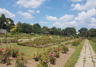 Botanical Garden - Rozarium