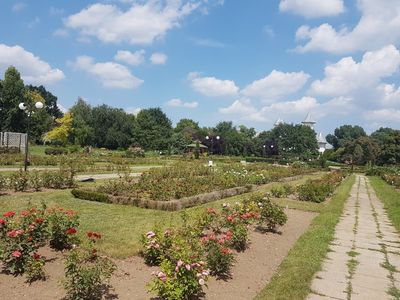 The Botanical Garden of Galați