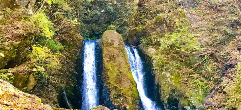 小菅村のホテル