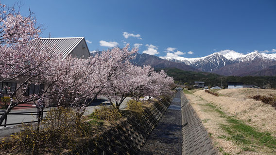 Michi-no-Eki Hana no Sato Iijima