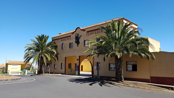 Bodegas Teneguia