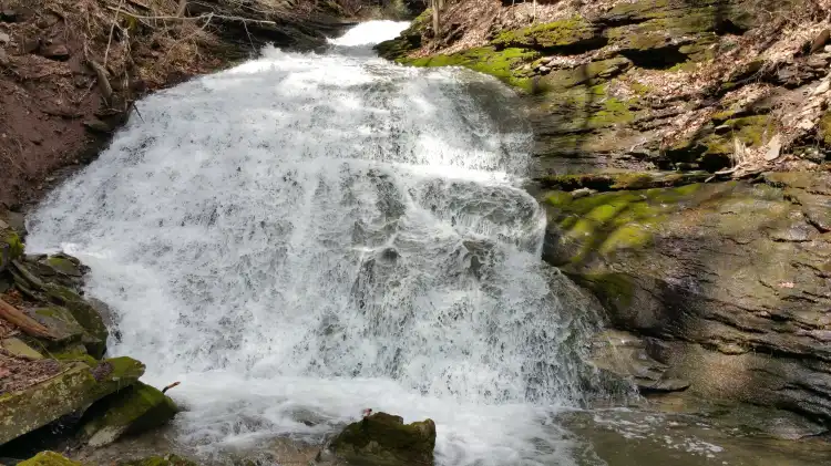 فنادق في Lycoming County