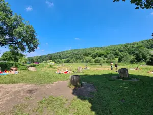 Warleigh Weir