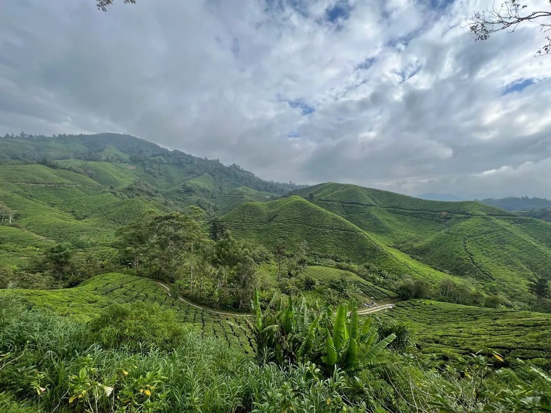 3_Discover Cameron Travel & Tour