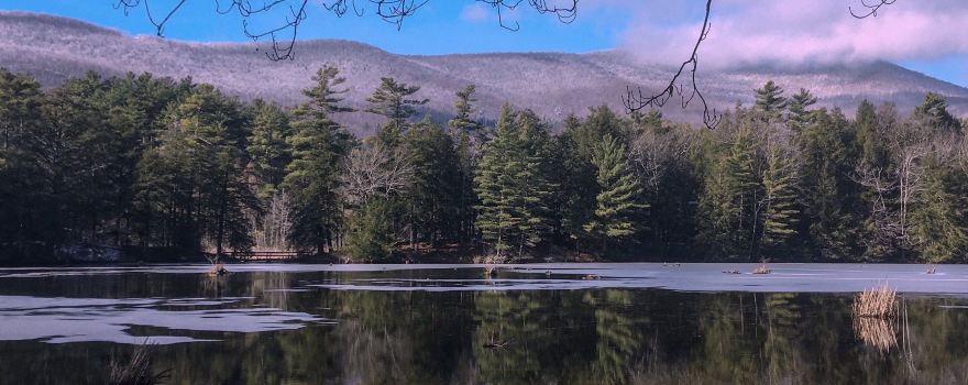 Lake Shaftsbury State Park