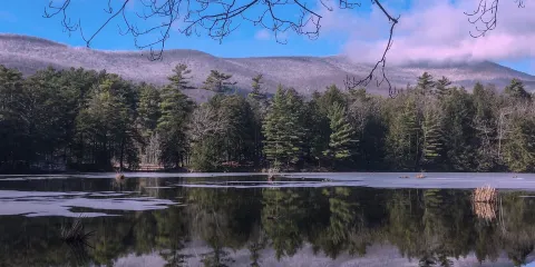 Lake Shaftsbury State Park