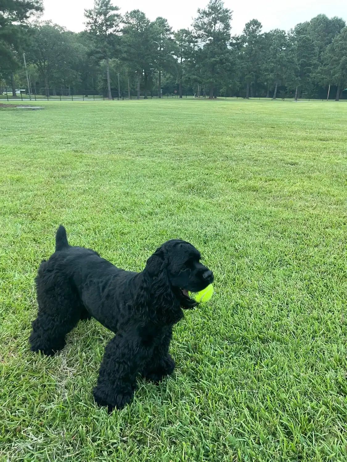 Hotels near Best Friend's Dog Park