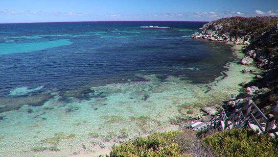 Đảo Rottnest
