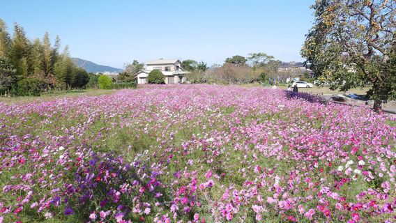 Hirabaru Historical Park