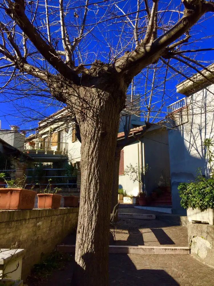 Hotels in Silvi Paese