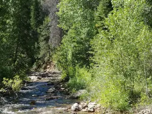 Pine Creek National Forest Campground