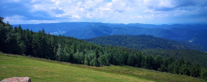 Laufbachwasserfälle