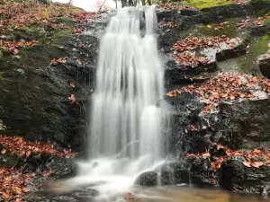 Waterfalls Park