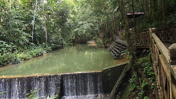 Bukit Hitam Nature Reserve