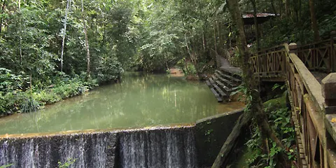 Bukit Hitam Nature Reserve