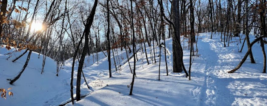 Wolsfeld Woods Scientific and Natural Area (SNA)