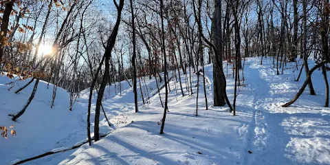 Wolsfeld Woods Scientific and Nature Center